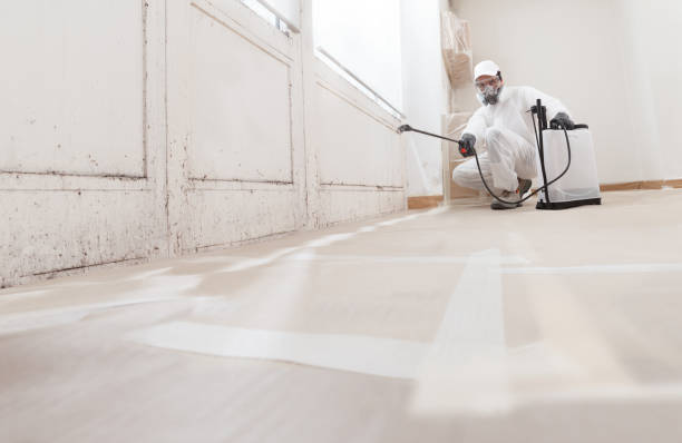 24/7 Emergency Bathroom Mold Removal experts in Herndon, VA