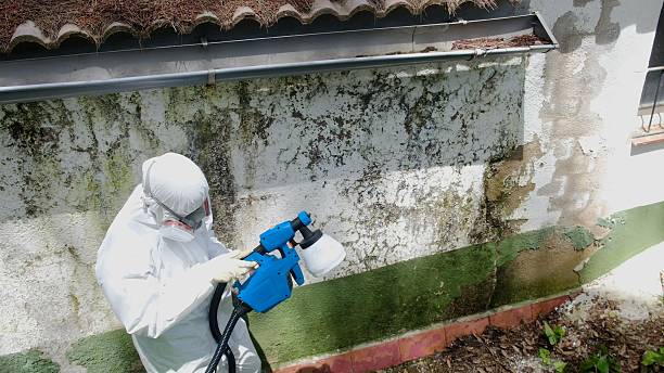 Top rated local Bathroom Mold Removal specialists in Herndon, VA